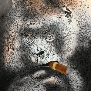 portrait d'un gorille fumant le cigare